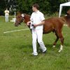 Ponyfestival 2008 030